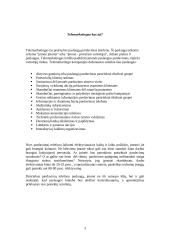 Paslaugų pardavimo schema: UAB "Telnet" kompanijos "Omnitel" paslaugų pardavimo technologija 3 puslapis