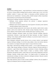 Ruloninės, bituminės, mineralinės medžiagos 2 puslapis