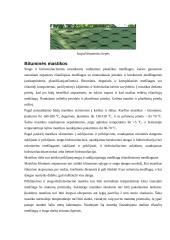 Ruloninės, bituminės, mineralinės medžiagos 4 puslapis