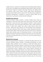 Ruloninės, bituminės, mineralinės medžiagos 9 puslapis