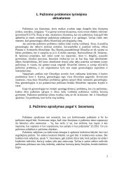 Pažinimo ir mąstymo problema 3 puslapis