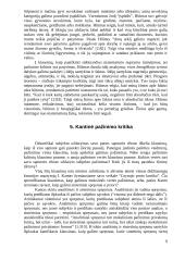 Pažinimo ir mąstymo problema 9 puslapis