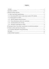 Pelnas vienai akcijai 2 puslapis