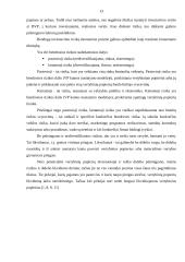 Pelnas vienai akcijai 13 puslapis