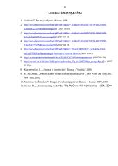 Pelnas vienai akcijai 15 puslapis