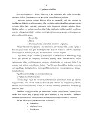 Pelnas vienai akcijai 4 puslapis