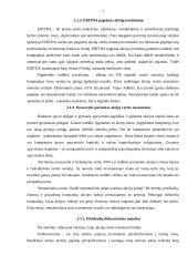 Pelnas vienai akcijai 7 puslapis