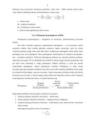 Pelnas vienai akcijai 8 puslapis