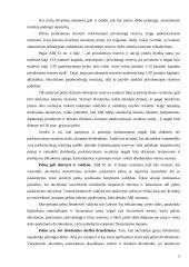 Pelno paskirstymas 5 puslapis