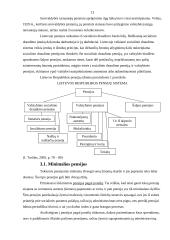 Pensijų fondai ir su jais susijusios investicijos 13 puslapis