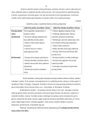 Pensijų fondai ir su jais susijusios investicijos 16 puslapis