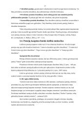 Pensijų fondai ir su jais susijusios investicijos 17 puslapis