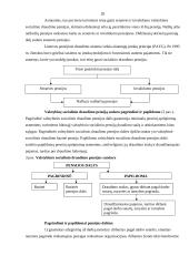 Pensijų fondai ir su jais susijusios investicijos 20 puslapis