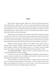 Pensijų organizavimo principai 2 puslapis