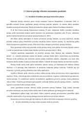 Pensijų organizavimo principai 15 puslapis