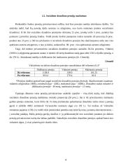 Pensijų organizavimo principai 17 puslapis