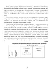 Pensijų organizavimo principai 7 puslapis