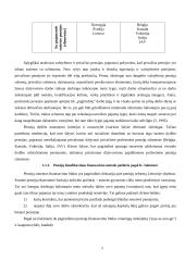 Pensijų organizavimo principai 8 puslapis