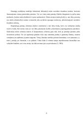 Pensijų organizavimo principai 9 puslapis