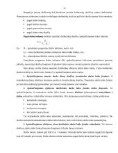 Personalo kiekybinė ir kokybinė charakteristika 12 puslapis
