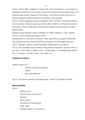 Personalo motyvavimo sistema: AB "TEO" 13 puslapis