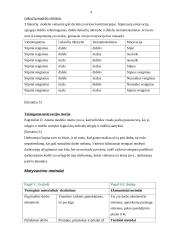 Personalo motyvavimo sistema: AB "TEO" 9 puslapis