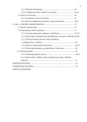 Personalo organizavimas įmonėje 2 puslapis