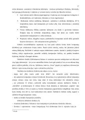 Personalo organizavimas įmonėje 13 puslapis