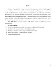 Priėmimo į darbą pokalbis 2 puslapis