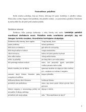 Priėmimo į darbą pokalbis 4 puslapis