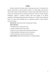 Personalo vadyba: motyvavimas 3 puslapis