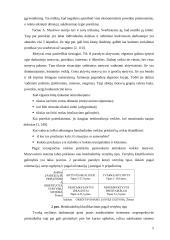 Personalo vadyba: motyvavimas 5 puslapis