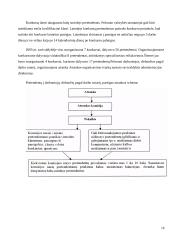 Personalo vadyba: UAB "Krovinių gabenimai" 16 puslapis