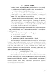 Personalo vadybos esmė 17 puslapis