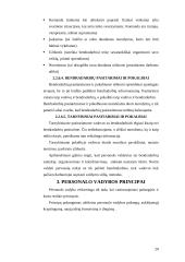 Personalo vadybos esmė 20 puslapis
