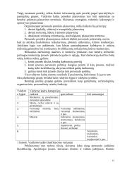 Personalo valdymas Lietuvos įmonėse 12 puslapis