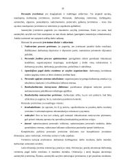 Personalo valdymas organizacijoje 19 puslapis