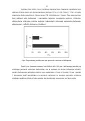 Personalo vertinimas įmonėje 14 puslapis