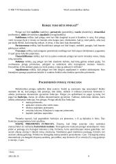 Pinigai, jų esmė 8 puslapis