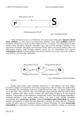 Pinigai, jų esmė 9 puslapis