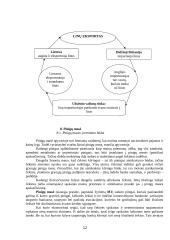 Pinigų esmė, masė, apyvarta ir jos greitis 12 puslapis