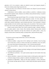 Pinigai ir pinigų politika 4 puslapis