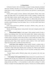 Pinigai ir pinigų politika 5 puslapis