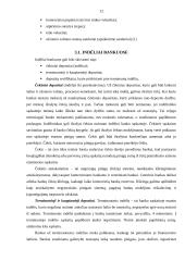 Pinigų rinkos, bei jų finansiniai instrumentai 12 puslapis