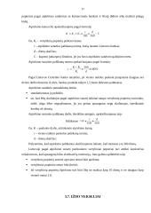 Pinigų rinkos, bei jų finansiniai instrumentai 17 puslapis