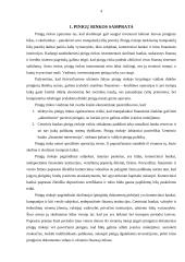 Pinigų rinkos, bei jų finansiniai instrumentai 4 puslapis