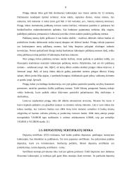 Pinigų rinkos, bei jų finansiniai instrumentai 8 puslapis