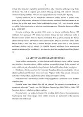 Pinigų rinkos, bei jų finansiniai instrumentai 9 puslapis