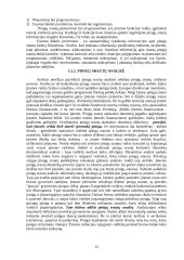 Pinigų srautų ataskaita 12 puslapis