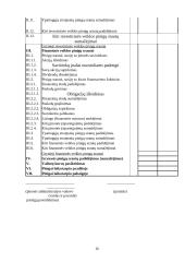 Pinigų srautų ataskaita 16 puslapis